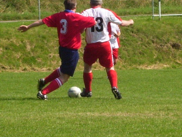 _1558.jpg